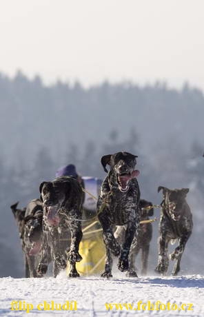 Tri studne 06 - 078.jpg